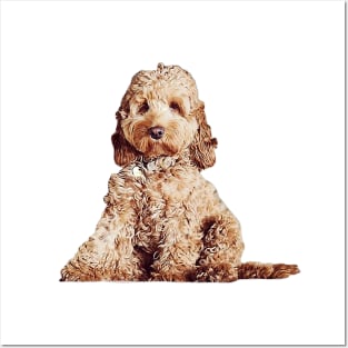 Cavoodle Labradoodle Cockapoo Mini Poodle x Cute Puppy Dog Posters and Art